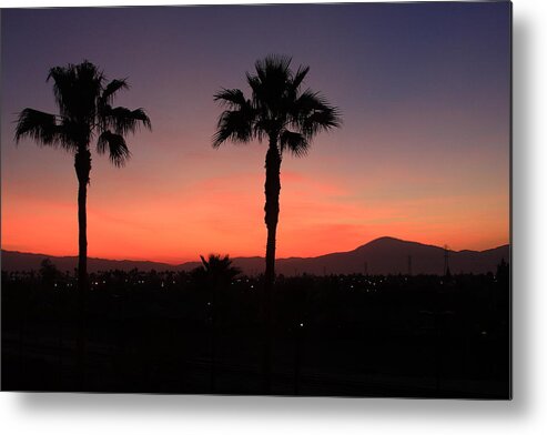 Trees Metal Print featuring the California Dreamin by Lyle Hatch
