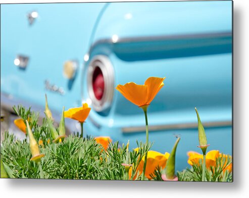 Poppy Metal Print featuring the photograph California Poppy by Margaret Pitcher