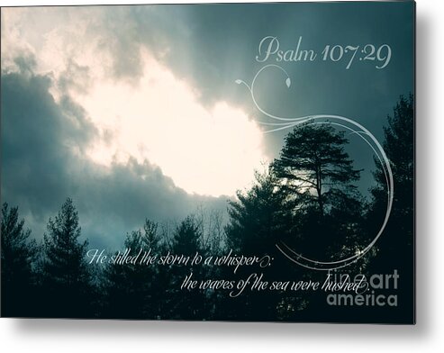 Storm Metal Print featuring the photograph Calm the Storm by Lena Auxier