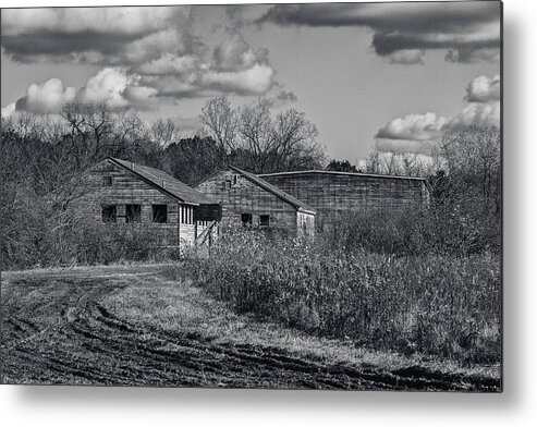 5d Mark Ii Metal Print featuring the photograph Camouflaged by CJ Schmit