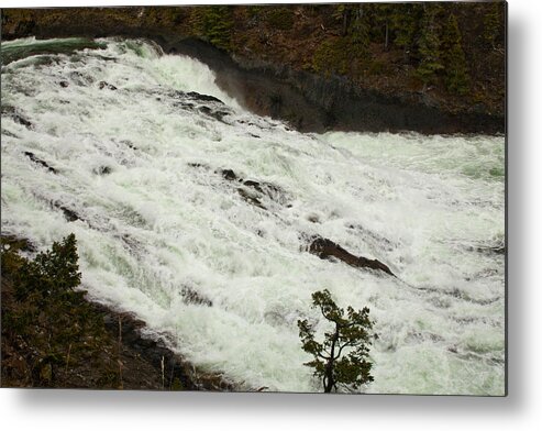 Canadian Rockies Metal Print featuring the photograph Canadian River 1746 by Larry Roberson