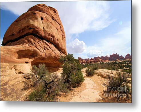 Canyonlands Metal Print featuring the photograph Canyonlands Needles Trail by Adam Jewell