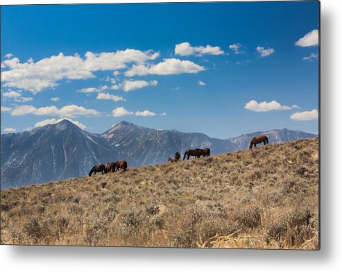 Landscape Metal Print featuring the photograph Carson Valley band by John T Humphrey