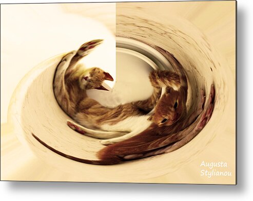 Augusta Stylianou Metal Print featuring the digital art Cat Whirling by Augusta Stylianou