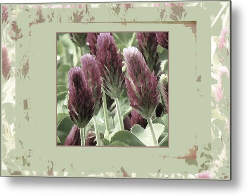 Spring Metal Print featuring the photograph Celebration by Bonnie Bruno