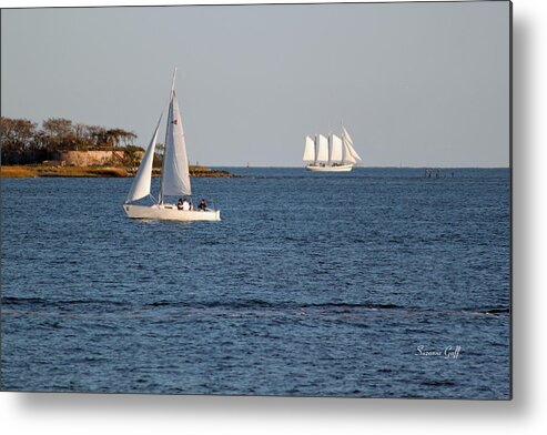Sailboat Metal Print featuring the photograph Charleston Harbor Scenic by Suzanne Gaff