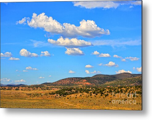 Fine Art Metal Print featuring the photograph Cloudy Wyoming Sky by Donna Greene