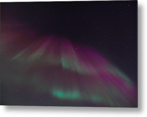 Sam Amato Metal Print featuring the photograph Curtain of Northern Lights by Sam Amato