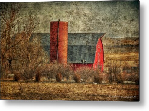Dairy Metal Print featuring the photograph Dairy Farm by Debra Boucher