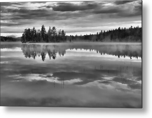 Black And White Metal Print featuring the photograph Dark Tranquility by Shari Jardina