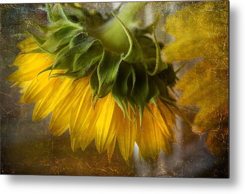 Floral Metal Print featuring the photograph Don't weep for me by John Rivera