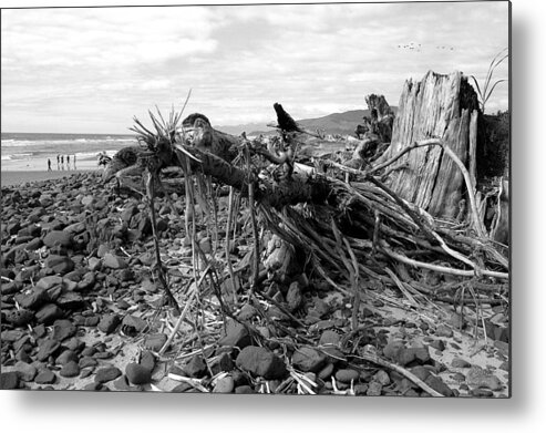 Driftwood Metal Print featuring the photograph Driftwood and Rocks by Chriss Pagani