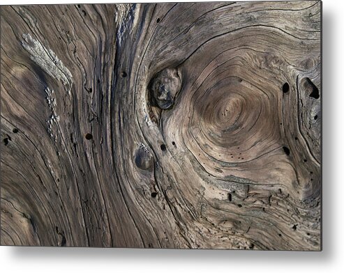 Swirling Metal Print featuring the photograph Driftwood Swirls 4 by David Kleinsasser