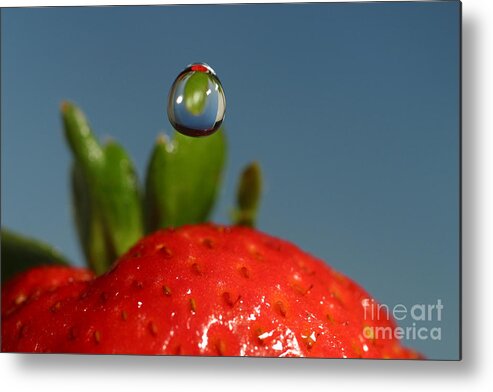 Strawberry Metal Print featuring the photograph Droplet Falling On A Strawberry by Ted Kinsman