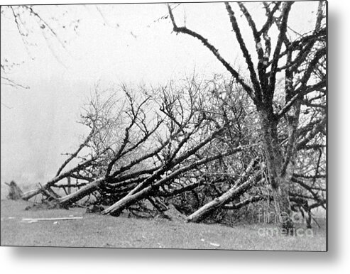 Science Metal Print featuring the photograph Dust Storm Damage, 1931 by Science Source