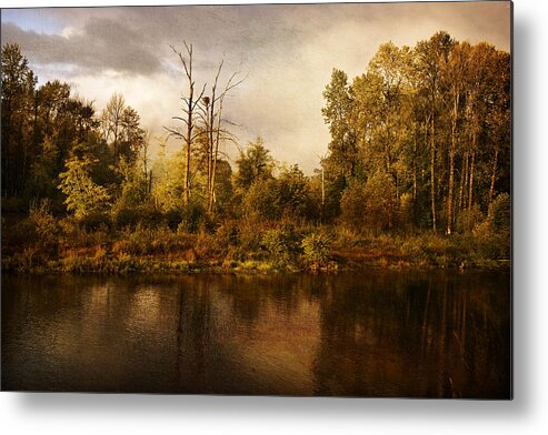 Eagle's Rest Metal Print featuring the photograph Eagle's Rest by Wes and Dotty Weber