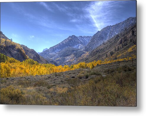 Landscape Metal Print featuring the photograph Eastern Sierras in Fall by Michele Cornelius