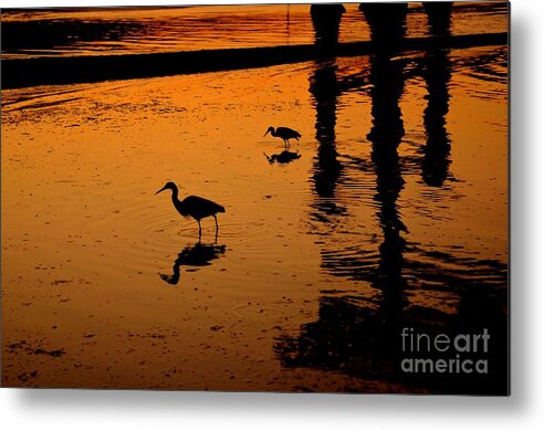 Egret Metal Print featuring the photograph Egrets at Dusk by Dean Harte