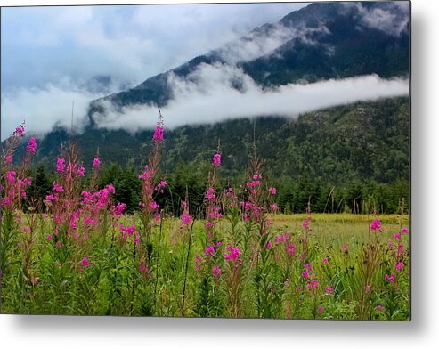 Meadow Metal Print featuring the photograph Emerging Mist by April Reppucci