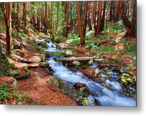 Stream Metal Print featuring the photograph Enchanted Forest by Beth Sargent
