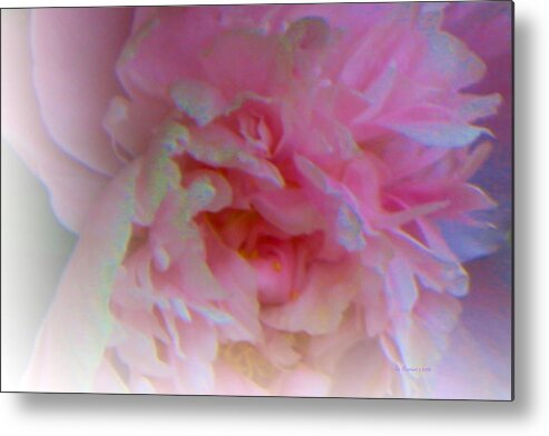 Peonie Paintings Metal Print featuring the painting Ethereal Changing Mood by Liz Evensen