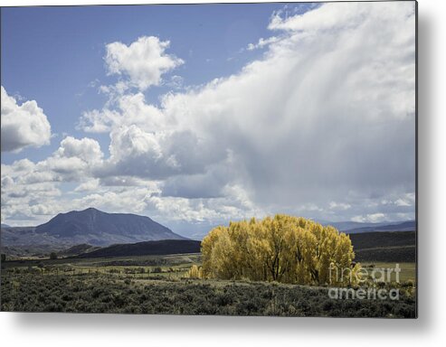 Colorado Rural Scene Metal Print featuring the photograph Fall Color and Mountain by David Waldrop