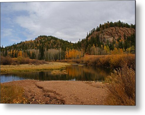 Fall Colors Colorado Metal Print featuring the photograph Fall Colors Colorado by Ernest Echols