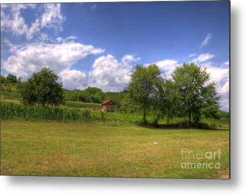 House Metal Print featuring the photograph Farm house by Dejan Jovanovic
