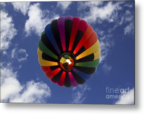 Hot Air Balloon Metal Print featuring the photograph Firefly by Brenda Giasson