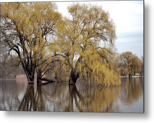 Spring Metal Print featuring the photograph Flooded Trees by Richard Gregurich