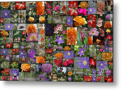 Florals Metal Print featuring the photograph Florals by Donna Bentley