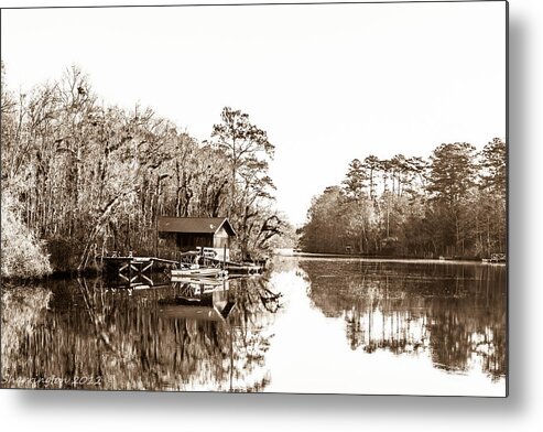 Landscapes Metal Print featuring the photograph Florida by Shannon Harrington