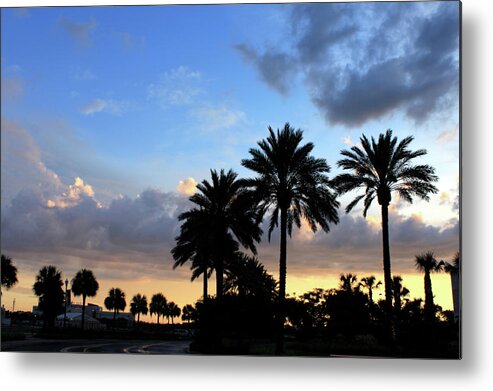 Sunset Metal Print featuring the photograph Florida Sunset by Jeanne Juhos