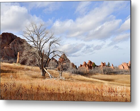 Fountain Valley Metal Print featuring the photograph Fountain Valley by Cheryl McClure