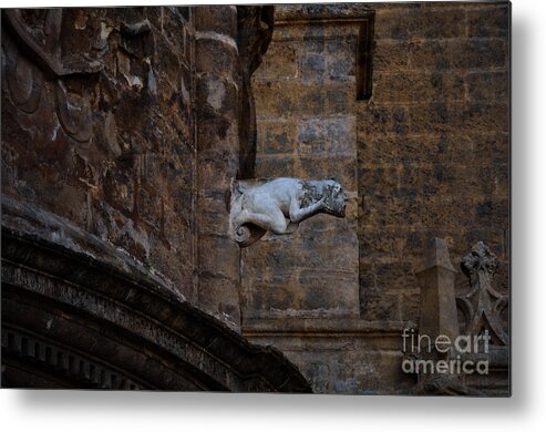 Gargoyle Metal Print featuring the photograph Gargoyle by Mary Machare