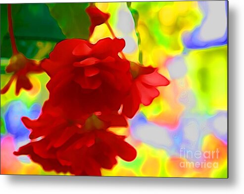 Red Flowers Metal Print featuring the photograph Garish by Julie Lueders 
