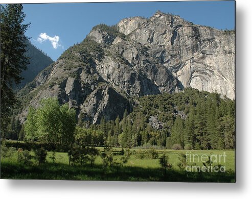 Landscape Metal Print featuring the photograph Going Green by Johanne Peale