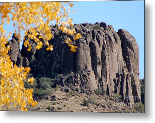 Poster Metal Print featuring the photograph Golden Ribs by Alycia Christine