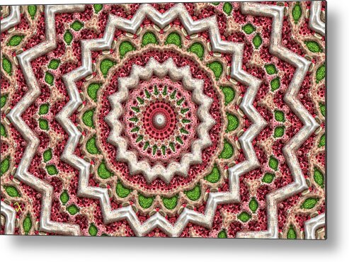 Kaleidoscope Metal Print featuring the photograph Graffiti Roses by Adam Vance