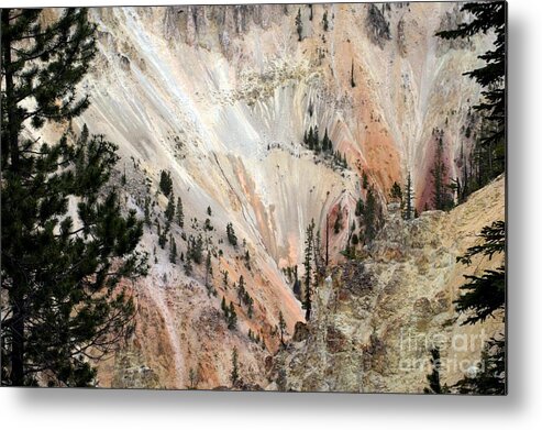 Grand Canyon Metal Print featuring the photograph Grand Canyon Colors Of Yellowstone by Living Color Photography Lorraine Lynch