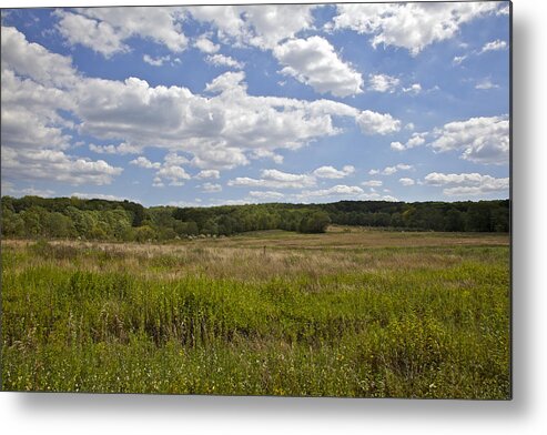 Bunker Hill Metal Print featuring the photograph Griggstown Native Grassland Preserve by David Letts