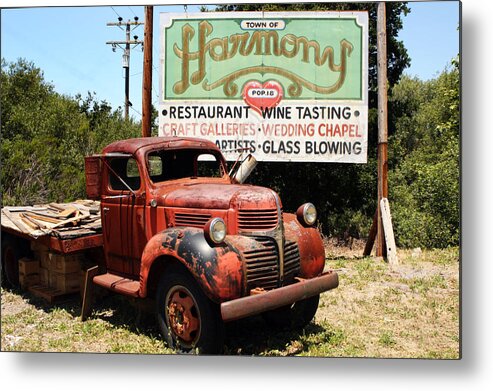 Harmony Metal Print featuring the photograph Harmony by Steve Parr