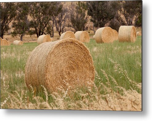 Rural Metal Print featuring the photograph Hay Bales by Michelle Wrighton