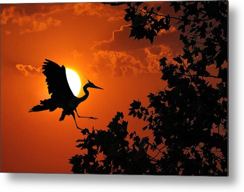 Sunset Metal Print featuring the photograph Heron Sunset by Wade Aiken