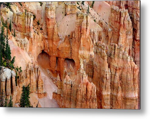 Bryce Canyon Metal Print featuring the photograph Hideaway by Vicki Pelham