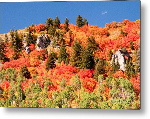 Hill Metal Print featuring the photograph Hill on Fire by Bob and Nancy Kendrick