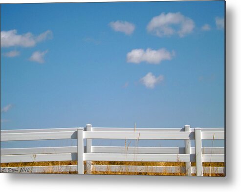 White Fence Photographs Metal Print featuring the photograph Home on the Range by C Sitton