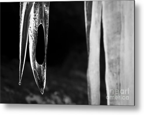 Ice Metal Print featuring the photograph Icicle by Olivier Steiner