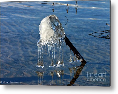 Ice Metal Print featuring the photograph Icy Fence Post by Mitch Shindelbower