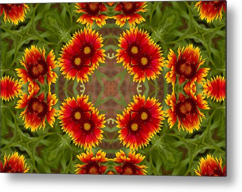Kaleidoscope Metal Print featuring the photograph Indian Blanket Flower - Kaleidoscope by Bill Barber